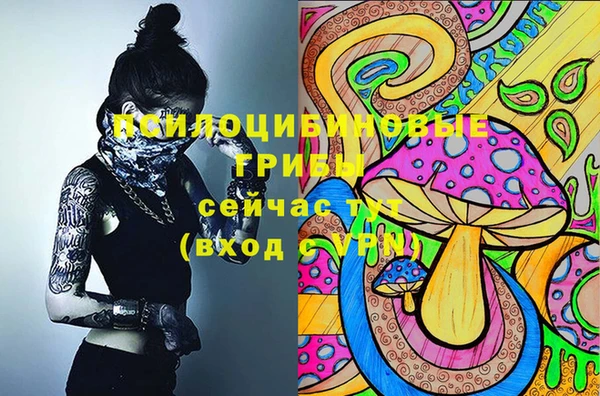 ПСИЛОЦИБИНОВЫЕ ГРИБЫ Козельск