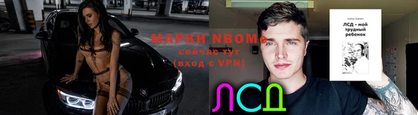 ПСИЛОЦИБИНОВЫЕ ГРИБЫ Козельск