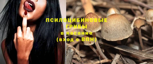 прущая мука Козловка