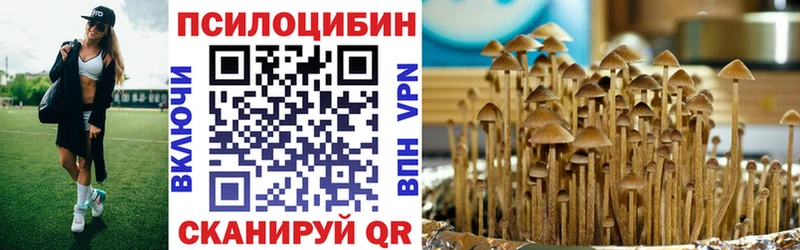 Псилоцибиновые грибы Cubensis Купить где Жуковка